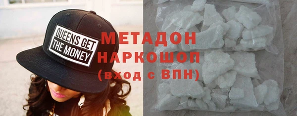 прущие грибы Аркадак
