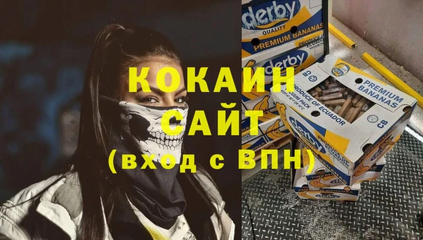 прущие грибы Аркадак