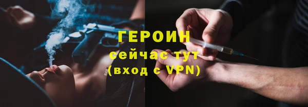 прущие грибы Аркадак