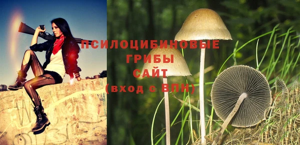крисы Арсеньев