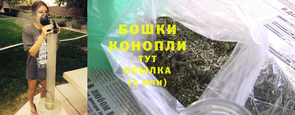 прущие грибы Аркадак