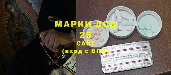 прущие грибы Аркадак
