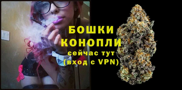 крисы Арсеньев