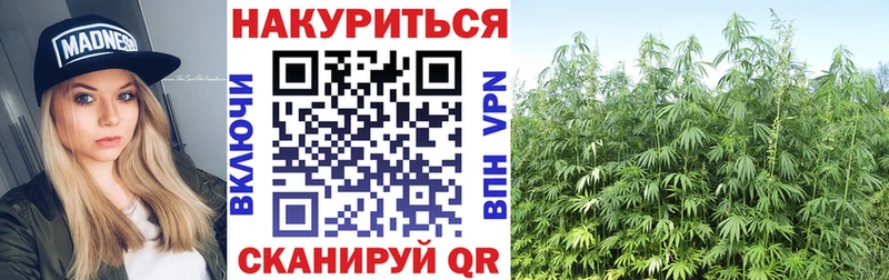 где купить наркоту  Наволоки  Канабис Bruce Banner 